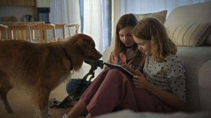 Zdjęcie główne #1025 - Kampania, która mówi w imieniu porzuconych zwierząt